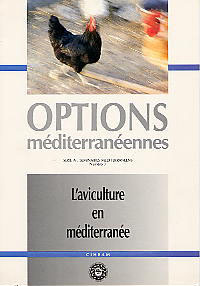 Des l&eacute;gumineuses en tant que source prot&eacute;ique alternative dans les rations de poulet chair