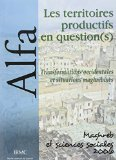 Les territoires productifs en question(s) : transformations occidentales et situations maghr&eacute;bines