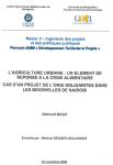L'agriculture urbaine : un &eacute;l&eacute;ment de r&eacute;ponse &agrave; la crise alimentaire