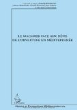 Le Maghreb face aux d&eacute;fis de l'ouverture en M&eacute;diterran&eacute;e