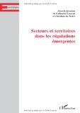 Secteurs et territoires dans les r&eacute;gulations &eacute;mergentes