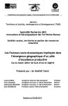 Les facteurs socio-&eacute;conomiques impliqu&eacute;s dans l'&eacute;mergence g&eacute;ographique d'un p&ocirc;le d'excellence productive
