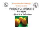 Indication g&eacute;ographique prot&eacute;g&eacute;e