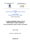 Le d&eacute;veloppement rural sur le territoire du coeur d'H&eacute;rault : cas du programme Leader du GAL Convivencia