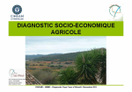 Diagnostic socio-&eacute;conomique agricole : viticulture de coteaux