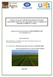 Analyse des projets collectifs de production d&eacute;nergies renouvelables port&eacute;s par des agriculteurs dans les communes de Plo&euml;rmel et Pouill&eacute;-les-Coteaux