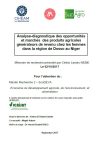 Analyse-diagnostic des opportunit&eacute;s et march&eacute;s des produits agricoles g&eacute;n&eacute;rateurs de revenu chez les femmes dans la r&eacute;gion de Dosso au Niger