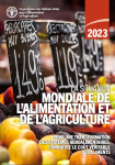 Pour une transformation des syst&egrave;mes agroalimentaires : conna&icirc;tre le co&ucirc;t v&eacute;ritable des aliments. La situation mondiale de l'alimentation et de l'agriculture 2023