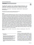 Unveiling the symbiotic nexus: pathways linking beekeeping, crop pollination, and biodiversity protection in a Moroccan case study