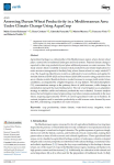 Assessing durum wheat productivity in a Mediterranean area under climate change using AquaCrop