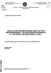 Indications g&eacute;ographiques dans les pays m&eacute;diterran&eacute;ens : les politiques nationales et les enjeux internationaux (OMC)