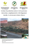 Syst&egrave;mes de production oasiens et sylvopastoraux : interactions, compl&eacute;mentarit&eacute;s et d&eacute;veloppement durable : cas du bassin de Gh&eacute;ris (Maroc)
