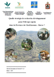 Quelle strat&eacute;gie de recherche d&eacute;veloppement pour l'&eacute;levage caprin dans la province de Chefchaouen - Maroc ?