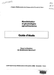Mondialisation et g&eacute;ostrat&eacute;gies agroalimentaires : guide d'&eacute;tude