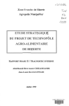 Etude strat&eacute;gique du projet de technop&ocirc;le agro-alimentaire de Bizerte : rapport phase II : diagnostic interne