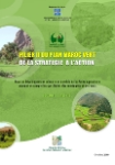 Pilier II du plan Maroc vert : de la strat&eacute;gie &agrave; l'action