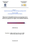 Etude de la faisabilit&eacute; technico-&eacute;conomique du guayule en r&eacute;gion nord m&eacute;diterran&eacute;enne