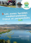 Les zones humides m&eacute;diterran&eacute;ennes, enjeux et perspectives : premier rapport technique
