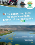 Les zones humides m&eacute;diterran&eacute;ennes, enjeux et perspectives : synth&egrave;se du 1er rapport pour les d&eacute;cideurs