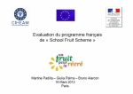 Evaluation du programme fran&ccedil;ais de &laquo;&nbsp;School Fruit Scheme&nbsp;&raquo;