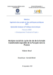 Analyse sociale du cycle de vie de la tomate transform&eacute;e export&eacute;e de la Turquie vers la France