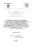 Comparaison de deux m&eacute;thodes d'&eacute;valuation du risque de lixiviation des nitrates d'origine agricole, application sur des productions de deux territoires : le bassin de l'&eacute;tang de l'Or dans l'H&eacute;rault et la Lomagne tarn et garonnaise