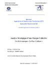 Analyse strat&eacute;gique d'une marque collective