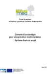 El&eacute;ments d'une strat&eacute;gie pour une agriculture m&eacute;diterran&eacute;enne : synth&egrave;se finale du projet