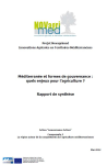 M&eacute;diterran&eacute;e et formes de gouvernance : quels enjeux pour l'agriculture ? Rapport de synth&egrave;se