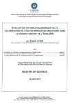 Evaluation technico-&eacute;conomique de la valorisation de l'eau en irrigation gravitaire dans le bassin versant de l'Asse (04)