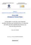Cartographie et suivi des zones humides m&eacute;diterran&eacute;ennes par t&eacute;l&eacute;d&eacute;tection, et &eacute;valuation de l'efficacit&eacute; de la labellisation Ramsar sur leur &eacute;tat de protection