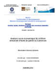 Analyse socio-&eacute;conomique de la fili&egrave;re artisanale d'huile de palme au Cameroun