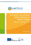 Valorisation des produits laitiers typiques de Bizerte et B&eacute;ja : diagnostic et strat&eacute;gie locale