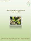 Veille &eacute;conomique-Secteur ol&eacute;icole