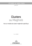 Clusters au Maghreb : vers un mod&egrave;le de cluster maghr&eacute;bin sp&eacute;cifique