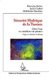 S&eacute;curit&eacute; hydrique de la Tunisie : g&eacute;rer l'eau en conditions de p&eacute;nurie