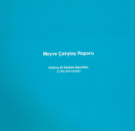 Meyve &ccedil;alistay raporu
