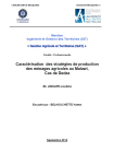 Caract&eacute;risation des strat&eacute;gies de production des m&eacute;nages agricoles au Malawi