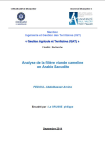 Analyse de la fili&egrave;re viande cameline en Arabie Saoudite