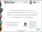 Protection des savoirs locaux et biodiversit&eacute; dynamiques en France et au Maroc, le cas des cueilleuses de plantes aromatiques et m&eacute;dicinales