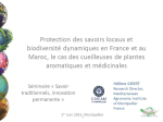 Protection des savoirs locaux et biodiversit&eacute; dynamiques en France et au Maroc, le cas des cueilleuses de plantes aromatiques et m&eacute;dicinales