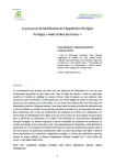 Le processus de labellisation de lAppellation dOrigine Prot&eacute;g&eacute;e &laquo; Huile dolive Bni Arouss &raquo;