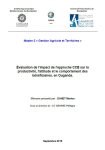 Evaluation de l'impact de l'approche CCB [Creative Capacity Building] sur la productivit&eacute;, l'attitude et le comportement des b&eacute;n&eacute;ficiaires, en Ouganda