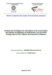 Analyse des strat&eacute;gies de valorisation et de conservation des plantes aromatiques et m&eacute;dicinales