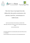 &Eacute;tat des lieux et perspectives des d&eacute;bouch&eacute;s des petits producteurs de plantes &agrave; parfum, aromatiques et m&eacute;dicinales