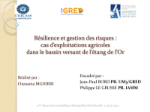 R&eacute;silience et gestion des risques : cas d'exploitations agricoles dans le bassin versant de l'&eacute;tang de l'Or
