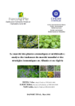 Le march&eacute; des plantes aromatiques et m&eacute;dicinales : analyse des tendances du march&eacute; mondial et des strat&eacute;gies &eacute;conomiques en Albanie et en Alg&eacute;rie [Rapport final]