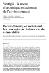 Cadres th&eacute;oriques mobilisant les concepts de r&eacute;silience et de vuln&eacute;rabilit&eacute;