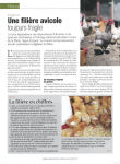 Alg&eacute;rie : une fili&egrave;re avicole toujours fragile
