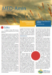 Egypt plans to launch agriculture commodities exchange / Le Maghreb, un client majeur pour le bl&eacute; fran&ccedil;ais